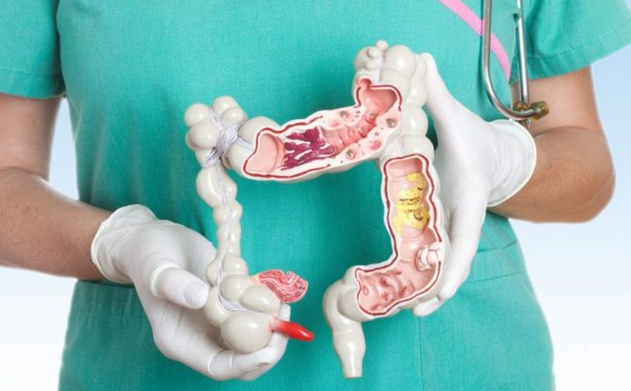 GASTROLOG