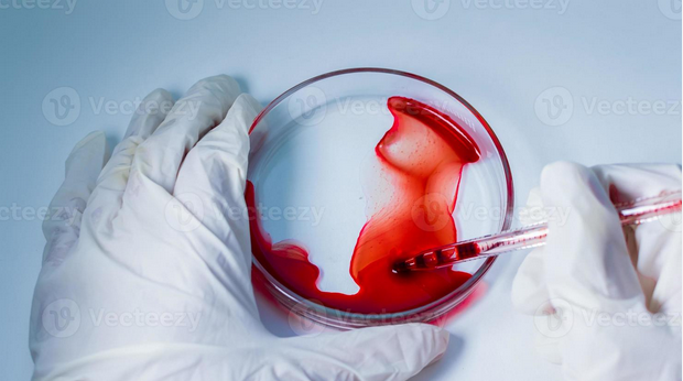 HEMATOLOG