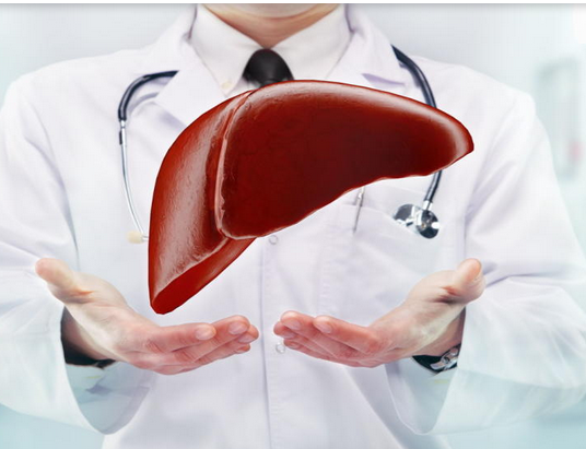 HEPATOLOG 